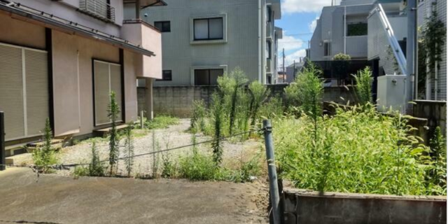 {17D8D4EA-DDB3-4302-A351-D7C6885ECB71}